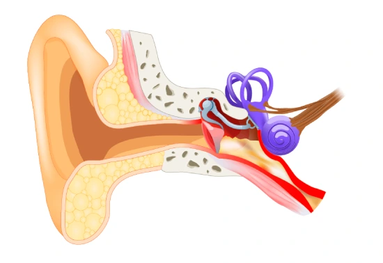 Otitis Media Treatment In Mumbai 1 Otitis Media Treatment In Mumbai