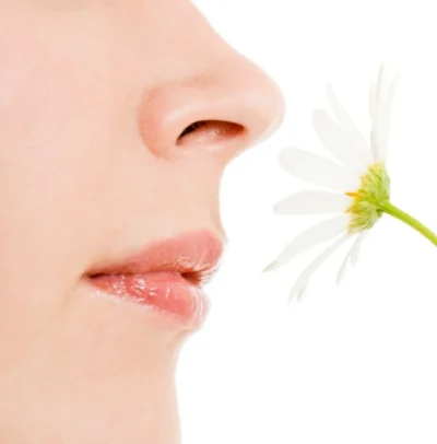 Disorders of Smell Disorders of Smell